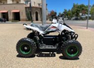 2022 Tao 36v Electric Kid ATV Quad